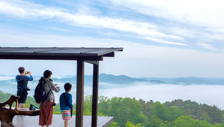 早起來，參加茂木移動度假村的「雲海導覽步道」！