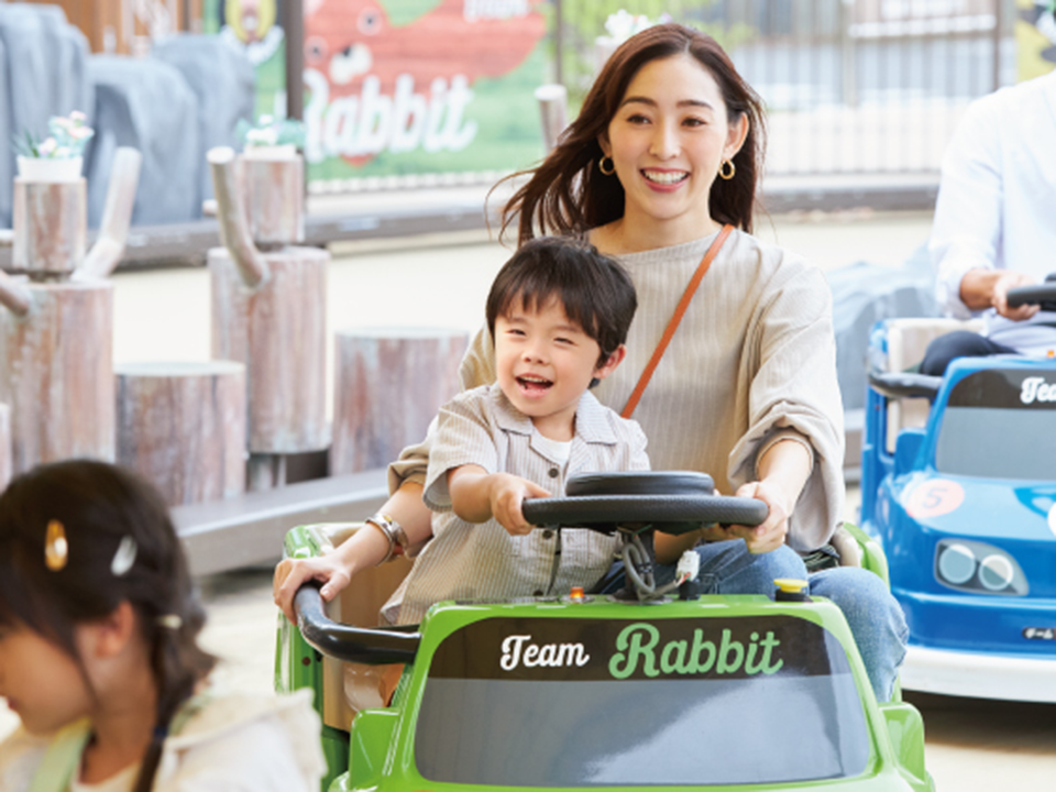 興奮的烏林寶冒險計劃