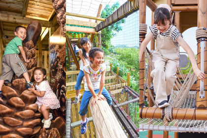 可優先入場的一次快速搭乘券