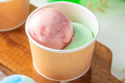 森林中的義大利冰淇淋店 ROCCO的義大利冰淇淋從單球升級為雙球！免費雙球升級券