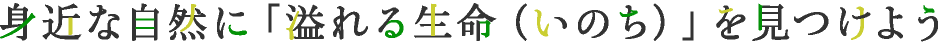 在身邊的自然中尋找「充滿生命」