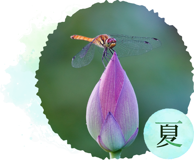 夏天