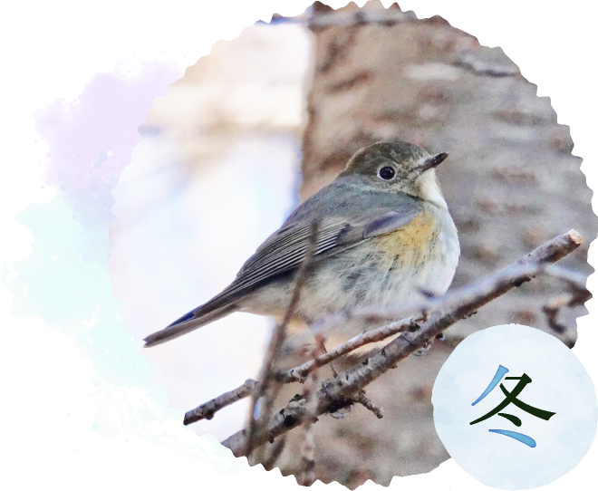 冬天