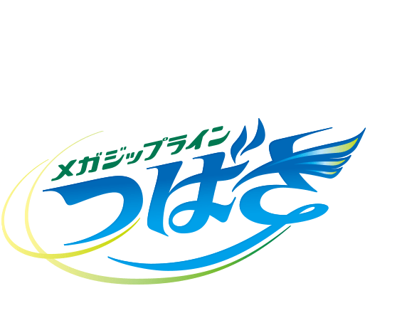 翼