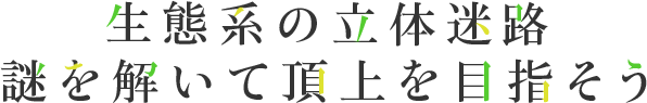 頂き