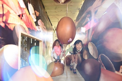 頂きスライド2