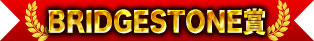 BRIDGESTONE獎