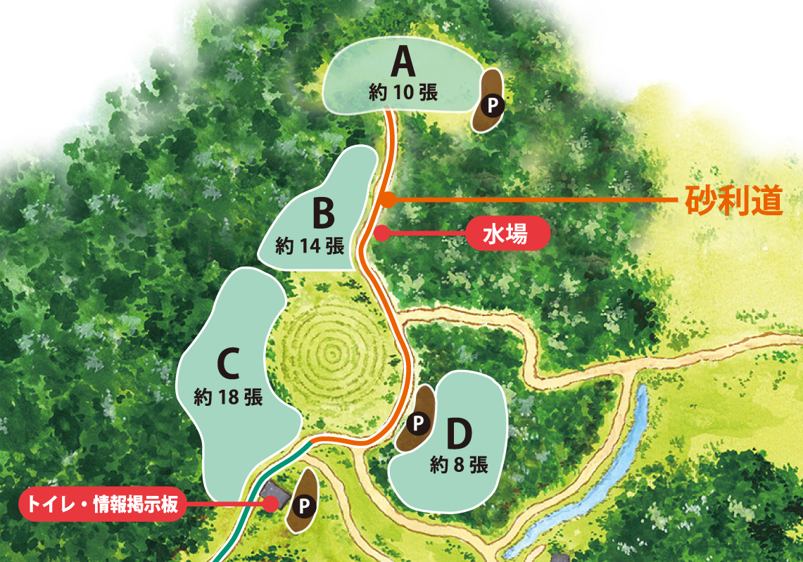 MotoGP™ 森林騎士營