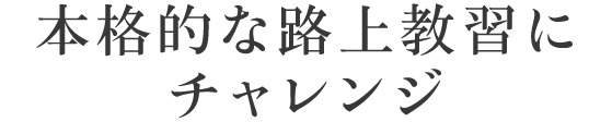 在森林市街地賽道駕駛並學習交通規則