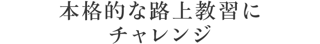 在森林市街地賽道駕駛並學習交通規則