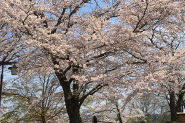 城山公園