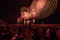 尊榮A席觀賞券A席觀賞券